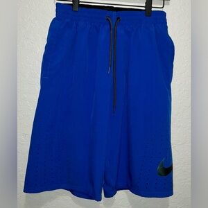 Nike Men's Royal Blue Swim Shorts